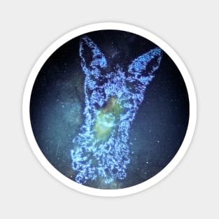 Fox Constellation Magnet